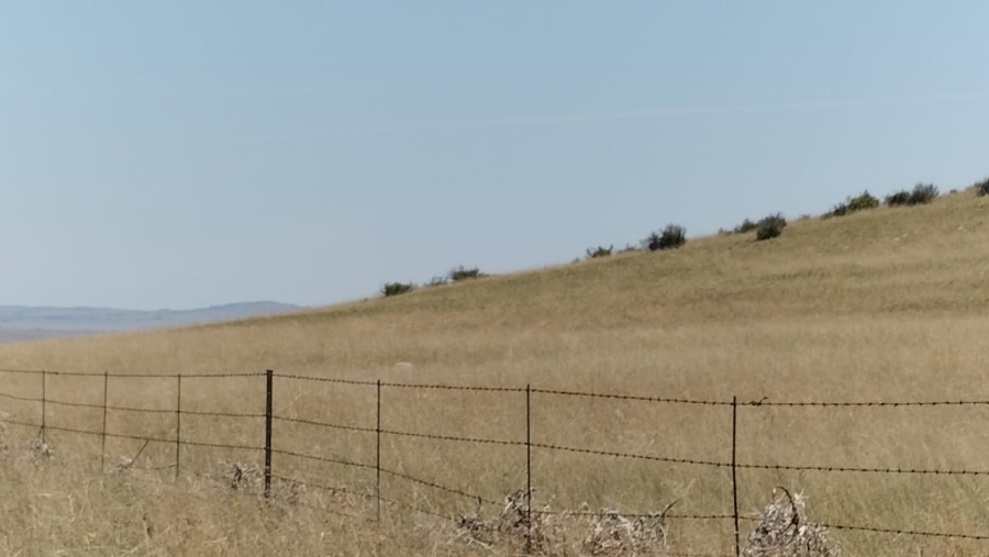  Bedroom Property for Sale in Bloemfontein Rural Free State